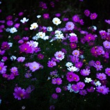 『まだ母と話したくない』の画像