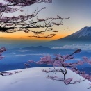 HRMトーク　2026年1月号 「1年の計は1月にあり」