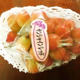 『徒然に光マイクロバブル（212）』の画像