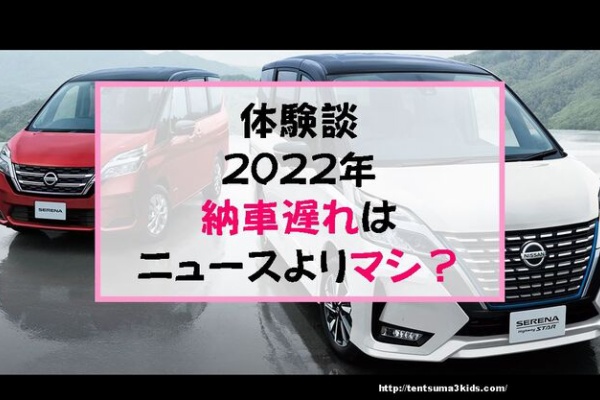子供3人 元リケジョ転勤妻の奮闘記 物 子供3人 元リケジョ転勤妻の奮闘記 物