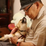 ユキだるまのつぶやき