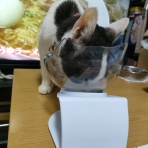 なごちゃん光ちゃんに癒されて　