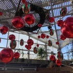 石になる地のふしぎ