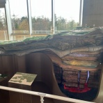 草津温泉スキー場スタッフブログ