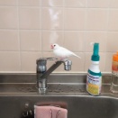 蛇口の上の文鳥