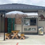 カエル好きの大磯生活