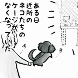 『もうそれって友達』の画像