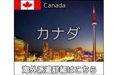 『カナダ・トロントイン&アウトコール求人情報』の画像