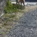 伸びるリード‼️