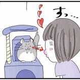 『わさびに見つめられているという錯覚』の画像