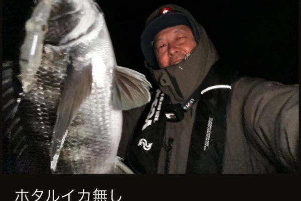 フラッター日誌 - 2025年03月