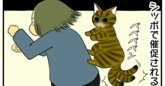 シッポで催促する猫