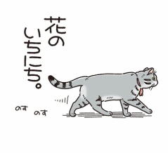花のいちにち