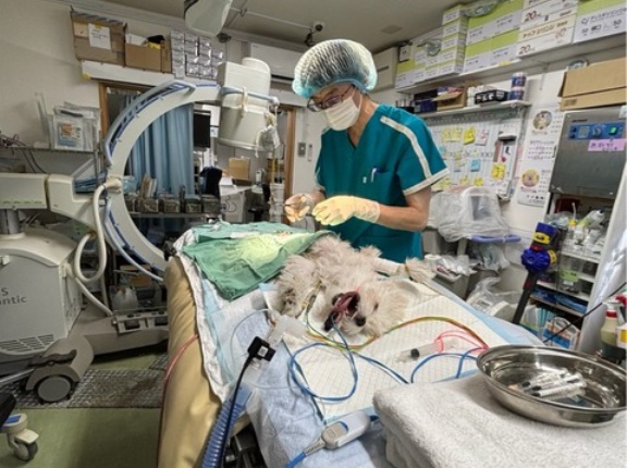 本日のシェルター通信💓