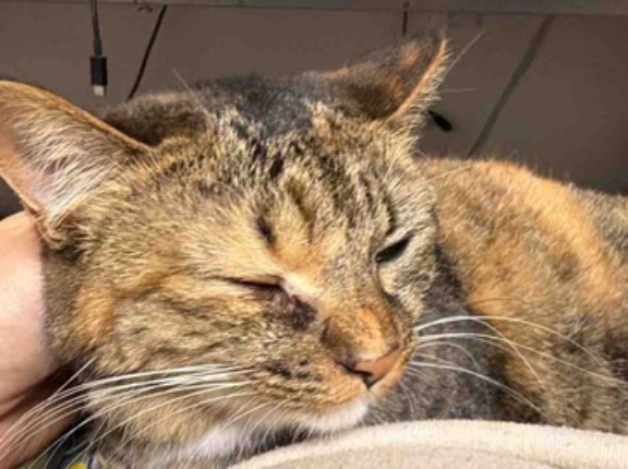 見送るものの感情　20260421