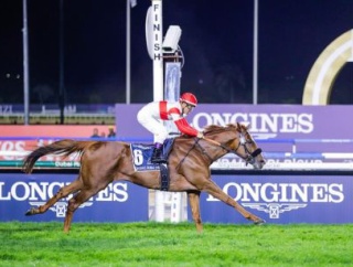 【競馬】ダノンデサイル　コックスプレート遠征を検討中