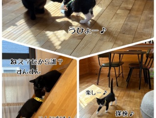 栄光のお届けでした♪