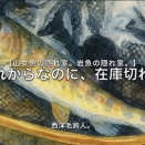 【フライフィッシング】これからなのに、在庫切れ！