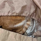 これは美味しすぎた【さばマヨぽん酢柚子風味】#連載  と、子どもが巣立った後のお悩み相談