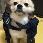 四日市・桑名・名古屋金山オンライン韓国語教室　ハングル語学堂四日市校 ブログ