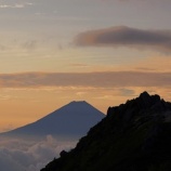 『朝のお散歩』の画像