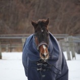 『三寒四温』の画像