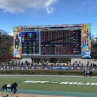 『チャレンジカップ2024　予想見解』の画像