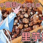 Next days ~ マイペース農業