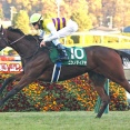 【競馬予想】[4]第21回ヴィクトリアマイル(GⅠ) /2026