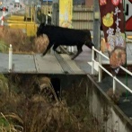 【笑死覚悟】スクロールするたびに耐えられなくなる画像スレｗｗｗ