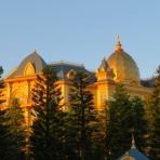 アラフィフ主婦のディズニー年パス日記