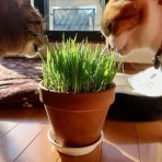 だいじろう日和。