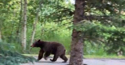 こんな所には住みたくない