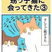 甥っ子猫に会ってきた③