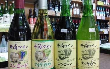 �ذ����磻�󡦻����ɻߺ�̵ź�á����֤ɤ���2020�٤β���