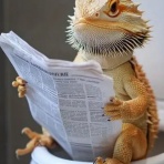 JPS PET STYLE