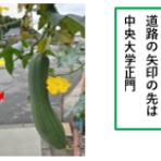 ミサの星占い