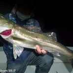 Flyfishing+ from Mt.Pigeons!