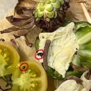 オオタバコガのもも（2025/11/11）