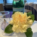 節約と投資と日々のいろいろ