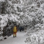 Ore,山さいくっ！