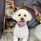 明日空き出ました