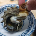 佐渡の友人から佐渡産のまだ生きてる新鮮すぎるサザエをいただいたので、定番のサザエのつぼ焼き！