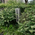 中央公会堂から栴檀木橋（中之島）