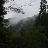 『奥多摩浅間尾根 半世紀ぶりに訪れたがなんの記憶も無かった』の画像