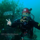 水中ツリー設置しましたーー！！