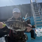 堺出島漁港 夢フィッシング お知らせ、釣果情報