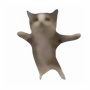 【悲報】人気の猫ミーム『Happy cat』元ネタは日本の売れ残り子猫だと判明！全くハッピーな状況ではないと話題に
