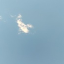 日経