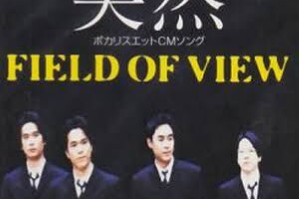 Soul Inspiration - FIELD OF VIEW 25周年記念全シングルレビュー